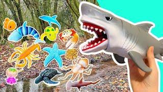 Learn Sea Animal Names & Fun Facts for Kids: Turtle Eagle Ray Crab #HolidaysWithYouTube