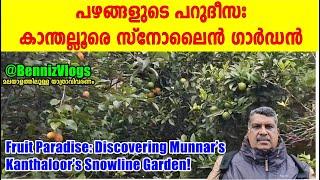 #74 - Fruit Paradise: Discovering Munnar’s Kanthaloor’s Snowline Garden! – Malayalam Travel Vlog