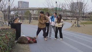 【249】这熊把狗气得 都站起来骂人了.Funny teddy bear prank in china.