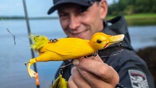 Дикие поклёвки на Утенка! Duck fishing! Креативные приманки возвращаются на летнем Иртыше.