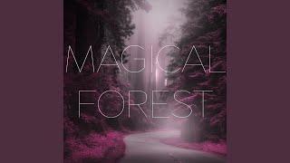 Magical Forest