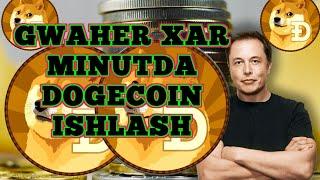 GWAHER SARMOYASIZ XAR MINUTDA DOGECOIN ISHLASH YANGI KRAN