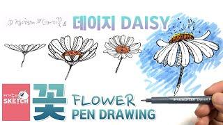Easy way to draw flowers | Daisy | cherry blossom | magnolia