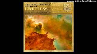 Ashley Wallbridge & C-Systems - Limitless (Extended Mix) In Trance We Trust