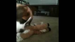 Jasmine kills the stuffed camel