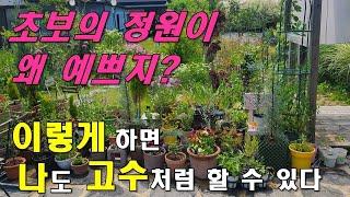 초보의 정원이 왜 예쁘지? 이 방법대로 하면 나도 고수들처럼 정원을 만들 수 있다.