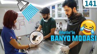 Klinikte Banyo Zamanı ve Metin'in Banyo Modası  #VeterinerHekimMeslegiİcinSekildenSekileGirer