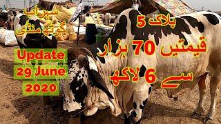 Cattle Prices - Sohrab Goth Maweshi Mandi Update 29 June 2020