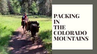 BACKPACKING ON HORSES IN THE COLORADO MOUNTAINS |  BEAUTIFUL MOUNTAIN |