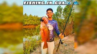 Fishing with live bait | UL fishing | Goa