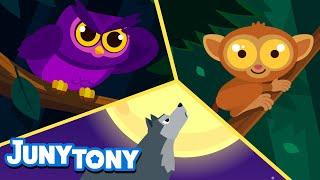  We Like the Night | Nocturnal Animals Owl, Wolf, Tarsier | Night Animal | Kids Songs | JunyTony