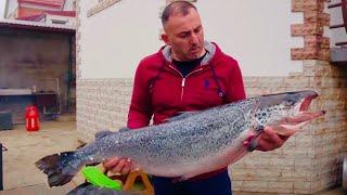 SALMON in a SMOKER.
