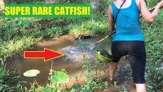 Primitive Survival - Girl catch RARE catfish in forest so amazing