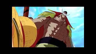Luffy stands up to Whitebeard One Piece (English Dub)