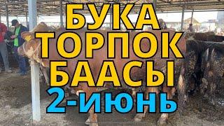 Каракол мал базар Бука торпок баасы 2-июнь 2024 // Жарнама 0705630330