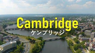 【ケンブリッジでの暮らし】Living in Cambridge, MA