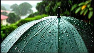 Heavy Rain On Umbrella