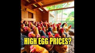 Sky-High Egg Prices?  Not Anymore! This Method Fixes it for Good!