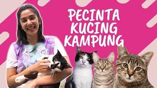 KENALIN KUCING-KUCING KAMPUNG KESAYANGAN