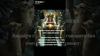 14 ноября 2024 г.