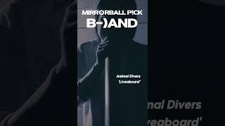 #B_AND 영롱하고도 환상적인 색감, 밴드 #AnimalDivers 의 #Liveaboard ㅣ#비엔드 #Band #애니멀다이버스