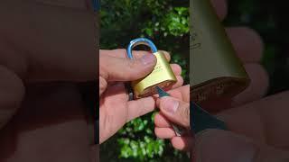 Bypassing a New Master Lock 175 #shorts