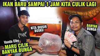 NEKAT NYULIK CHANNA MARU BANYAK BUNGA! DI USIR SURUH PULANG SAMA PEMILIKNYA