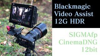 Blackmagic Video Assist7" 12G HDR and SIGMAfp CinemaDNG 12bit