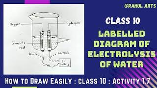 Diagram of Electrolysis of Water | How to Draw A Neat Labelled Diagram Of Electrolysis Of Water