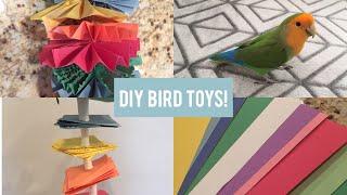 DIY Parrot Toys!