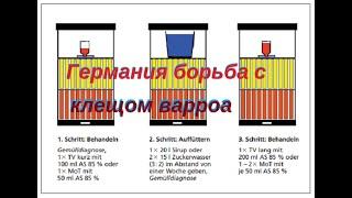 Клещ варроа подробная инструкция по обработке