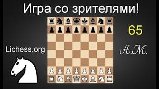Первый звонок! Все в КЛАСС! на lichess.org ШАХМАТЫ.Андрей Микитин.