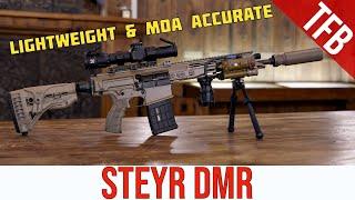 NEW Steyr DMR: Sniper Rifle Accuracy from a Battle Rifle