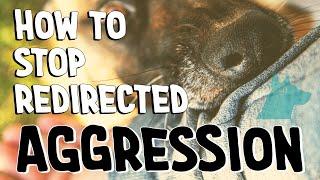 How to stop redirected aggression | MUST WATCH! 