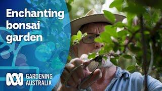 Discovering the Beauty of Bonsai with James Millar | My Garden Path | Gardening Australia