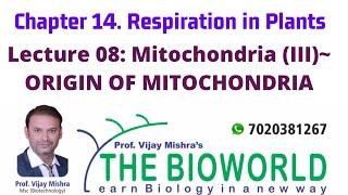 ORIGIN OF MITOCHONDRIA