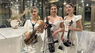 Скрипка, саксофон и виолончель на встречу гостей. Скрипичное шоу на мероприятие в Москве