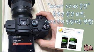 SONY A7M3 꿀팁 동영상 촬영화면 스마트폰으로 보는 방법(ft.A7M3동영상촬영)