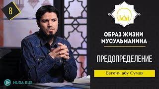 Хадис о Предопределении || Образ жизни мусульманина || Бегенч абу - Сумая [урок 8]
