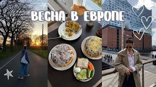 14. ПРОГУЛКИ, ПАСХА И ЭЛЬБСКАЯ ФИЛАРМОНИЯ