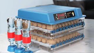 Идея для подарка . Автоматический инкубатор для яиц ,  купить по выгодной цене . Алиэкспресс.