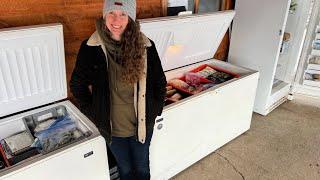 Giant Four Freezers Tour | Super Organized | Enough for a Year!