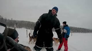Dogsledding for 1 month in North Norway - A Workaway experience