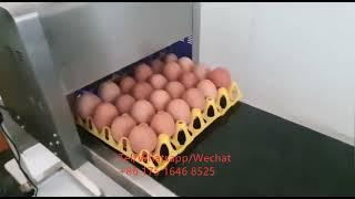 egg code printer/egg printing machine/egg coding machine