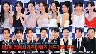 The 3rd Blue Dragon Series Awards Red Carpet | DEX, Go Younjung, YOONA, Park Boyoung,  Ahn Eunjin