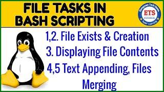 Bash Scripting - File Tasks File Create, Display, Text Appending, Files Merge | Shell Script | Linux