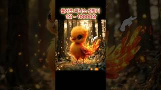 불사조(피닉스) 성장기  1살~10000살