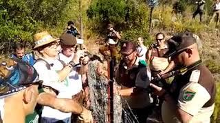 Bronca entre Ecologistas en Acción y guardas rurales en Grazalema