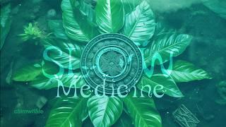 SLOW MEDICINE :: Shamanic Meditation :: Udu, RAv Moon, Chakapa, Shamanic Dub