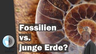 Fossilien vs. Junge Erde? Erdgeschichte im Zeitraffer | Rehe 2023 | Dr. S. Drüeke